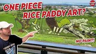 Japan’s Record Breaking Rice Paddy Art