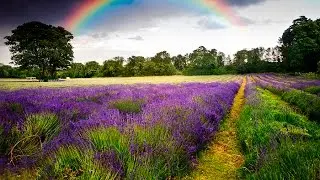 Beautiful Rainbows   Upbeat Cinematic Orchestra  HD 1080p