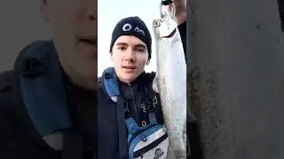 Caught 30 Trout In One Trip! (First Full Length Fishing Adventure)