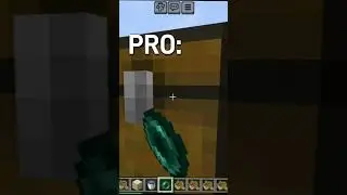 noob vs pro vs hacker 