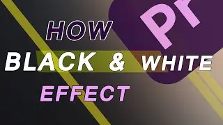 Black and white Effect in premiere pro