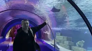 Мы посетили океанариум в Анталии