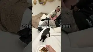 Going To A Cat Cafe After A Rough Week