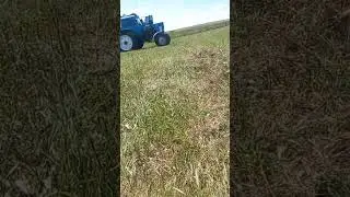 15 августа 2024 г.