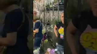 Красотки в JMP FLOWERS
