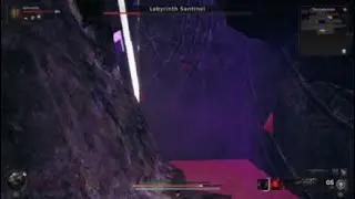 Thanks remnant