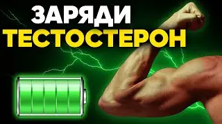 Как повысить тестостерон? / Фролов Ю.А.