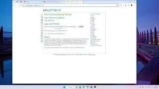 Check ports of server with Open Port Check Tool