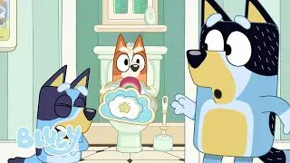 Hotelletje | Volledige Aflevering | Bluey - Officieel Nederlands kanaal