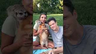 Первый пикник осенью получается 😀