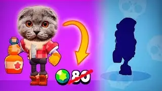 THE CAT IN THE BIRTHDAY BRAWL STARS! HILARIOUS RINKS!