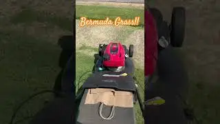 Honda Lawn Mower mowing thick  Bermuda Grass!! #shorts #lawncare
