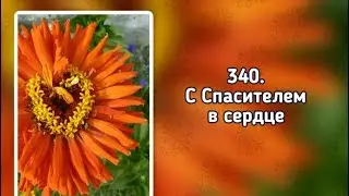 Гимны надежды  340 С Спасителем в сердце (-)