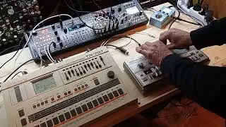 sale Roland TB 303