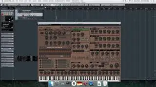 FNP Tutorials - Tropical Pop Chords