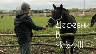 ДЕРЕВНИ В ЧЕХИИ!!!
