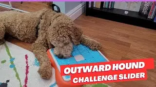Outward Hound Challenge Slider - Brain Games for your dog!