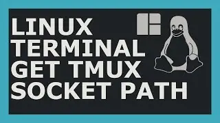 How To Get Tmux Socket Path Using Linux Command Line (Bash)