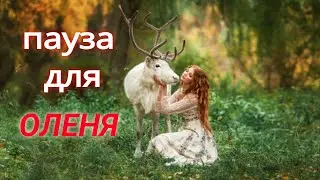 Девушка решила взять паузу в отношениях,что делать? Как вернуть девушку