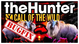 the Hunter Call of the Wild ✅ БАГФІКСИ 📑 ГРАВЦІ ОБИРАЮТЬ НОВУ ЗБРОЮ 🔫