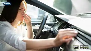 The Importance of Cabin Air Filters in EVs
