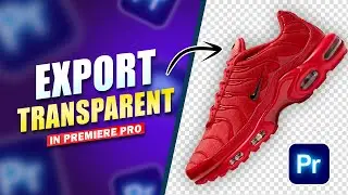 How to Export Transparent Background Videos in Premiere Pro