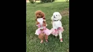 Как думаешь успеем?