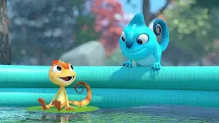 Pool party | Cam & Leon | Best Collection Cartoon for Kids | New Episodes