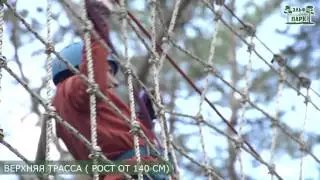 Развлечения для детей. Веревочный парк Эльф
