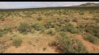 3D Modeling Vegetation with DJI OSMO