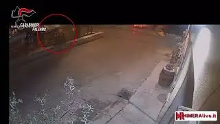 sparatoria a Termini Imerese