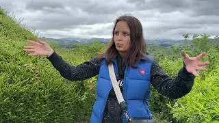 ДЕРЕВНЯ ИЛИ ГОРОД В ГЕРМАНИИ / ГДЕ ВЫБРАТЬ ДОМ / ЖИЗНЬ В ГЕРМАНИИ 2024