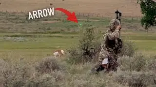 Hunting Bows Aren't Fast Enough!?   (My Experience)