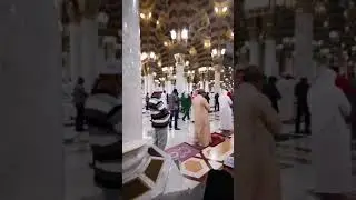 Taraweeh Salaah from Masjid An-Nabawi | Madinah | Reciter: Shaykh Ahmad Ali Al Hudaify