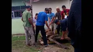 video pemotongan sapi kurban part2@hanum313