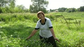 Юрій Цовма "Вечір"  Харків ми з тобою.