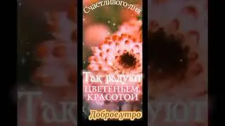 Красивое пожелание С Добрым Утром! Осенние цветы💐🌸💐🌸💐🌸