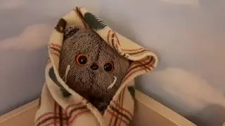 Дистанционное обучение басика!