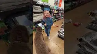 3 toy doggy challenge!