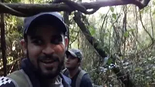 Você já entrou em uma mata virgem? Destruindo armadilhas, aventura, bate papo e dicas!