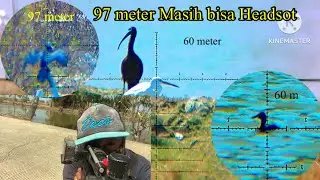 97 meter masih bisa headsot#huntinggajahan dan Pecuk