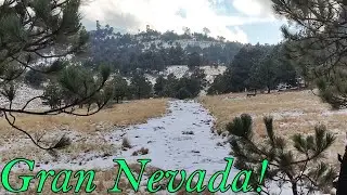 Nevada en el Ajusco- Necesitamos un Viaje