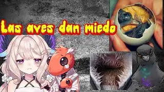 Estos Vtubers te cuentan su trauma con las aves (sub. español) (NIJISANJI EN)