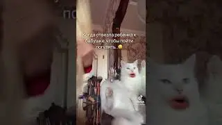 Кот говорящий рот. Когда отвезла ребенка к бабушке, чтобы пойти погулять...