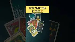 💯‼️ЧУВСТВА К ТЕБЕ ЧЕЛОВЕКА💯‼️ 