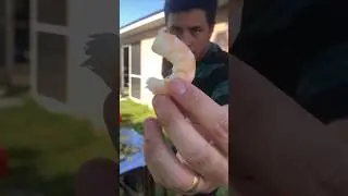 The only way to season shrimp