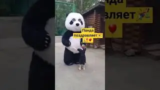 ПАНДА🐼 ПОЗДРАВЛЯЕТ С ДНЁМ РОЖДЕНИЯ!!🥳🎉ЮЛЕ 5 ЛЕТ!#дети#поздравлениеотпанды#рек#праздник#барбарики