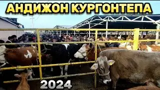 АНДИЖОН КУРГОНТЕПА ХАЙВОН МОЛ БОЗОР НАРХЛАРИ 11.02.2024