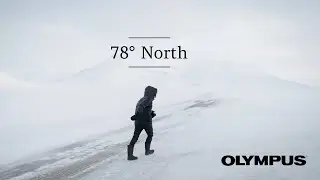 Svalbard | Arctic Foxes at 78° North | Cinematic 4K