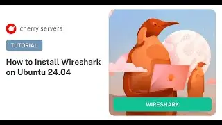 How to Install Wireshark on Ubuntu 24.04: Step-by-Step Guide